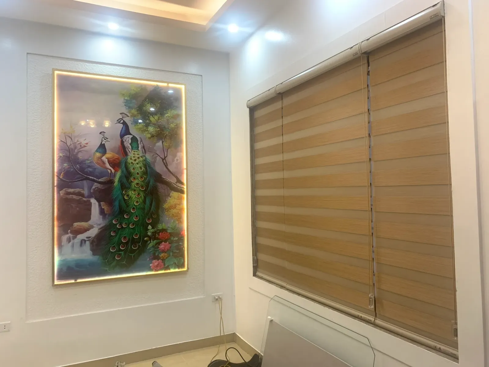 Lắp đặt rèm cầu vồng tại Hà Nội - Rèm chất lượng cao