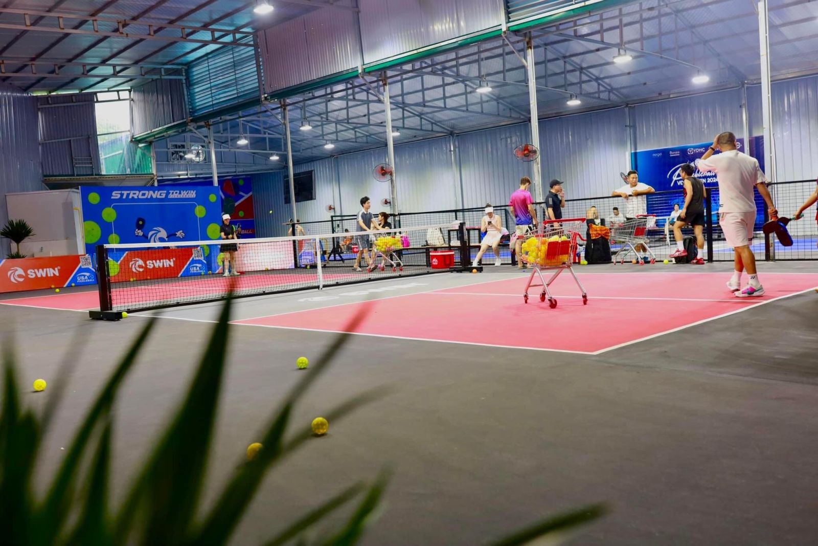 Thi công sân Pickleball