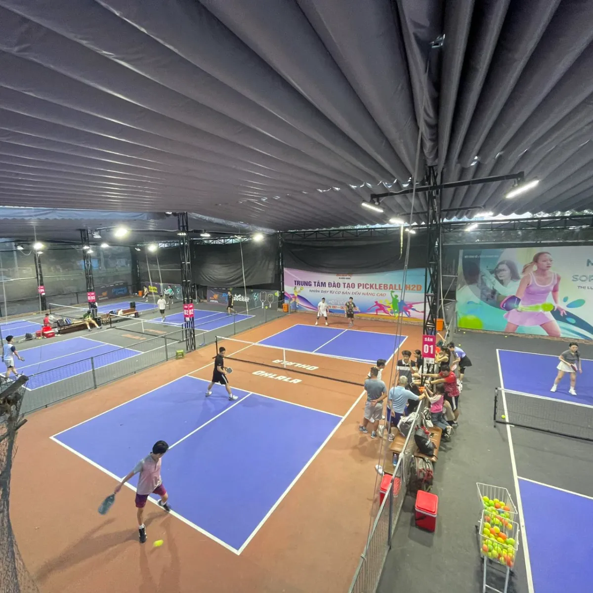 Báo giá thi công sân Pickleball tại Lâm Đồng